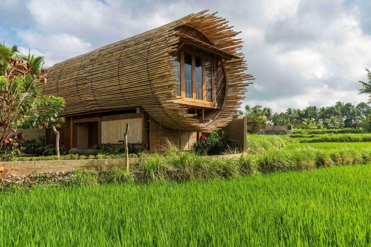 Beehouse Dijiwa Ubud Exterior foto