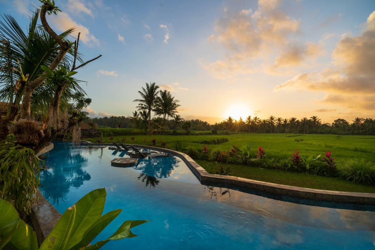 Beehouse Dijiwa Ubud Exterior foto
