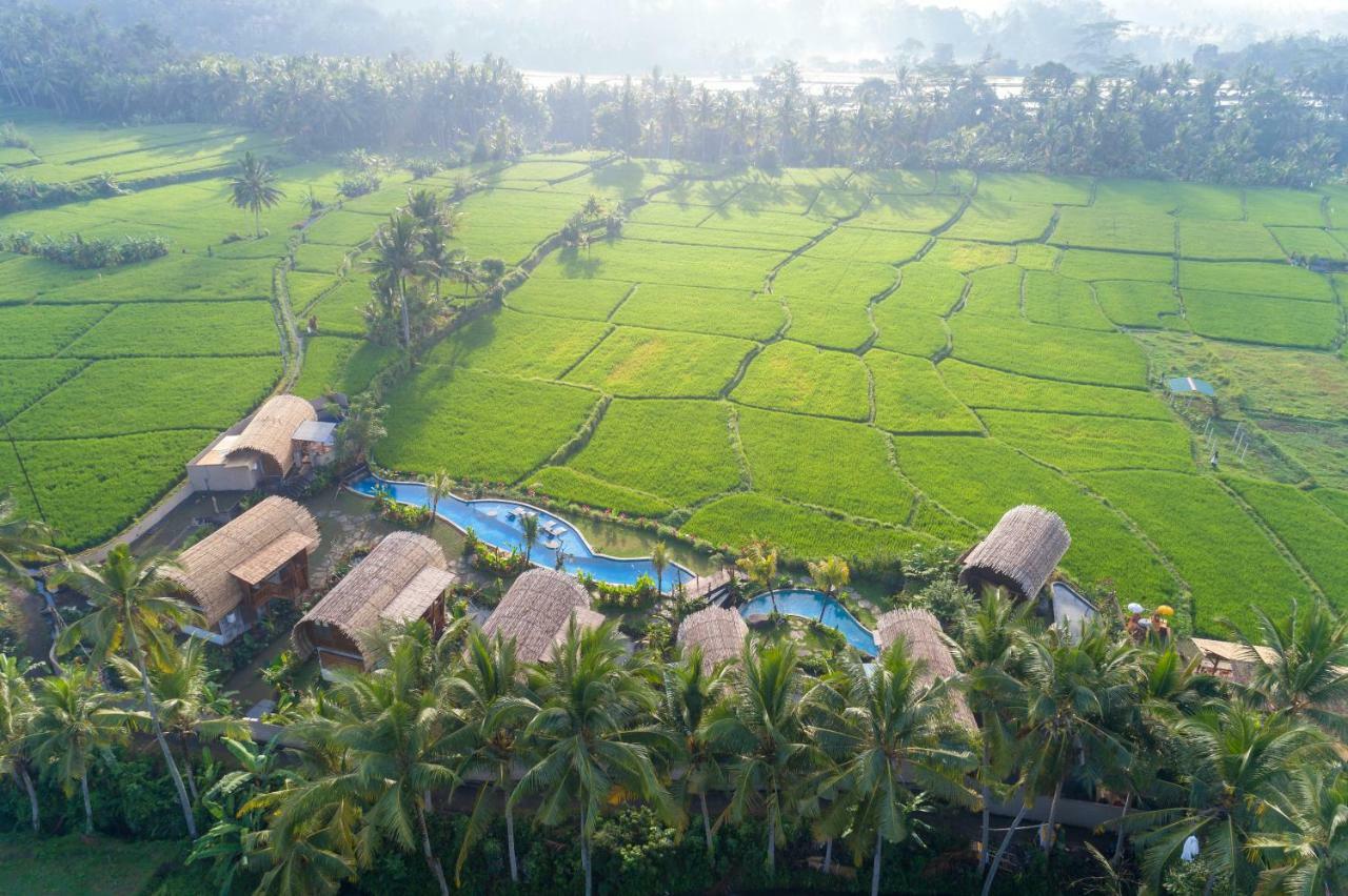 Beehouse Dijiwa Ubud Exterior foto
